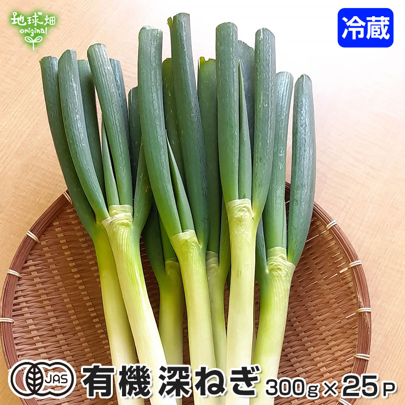 楽天市場】深ねぎ 300g×25P 有機栽培 常温便 有機JAS 鹿児島県産 宮崎