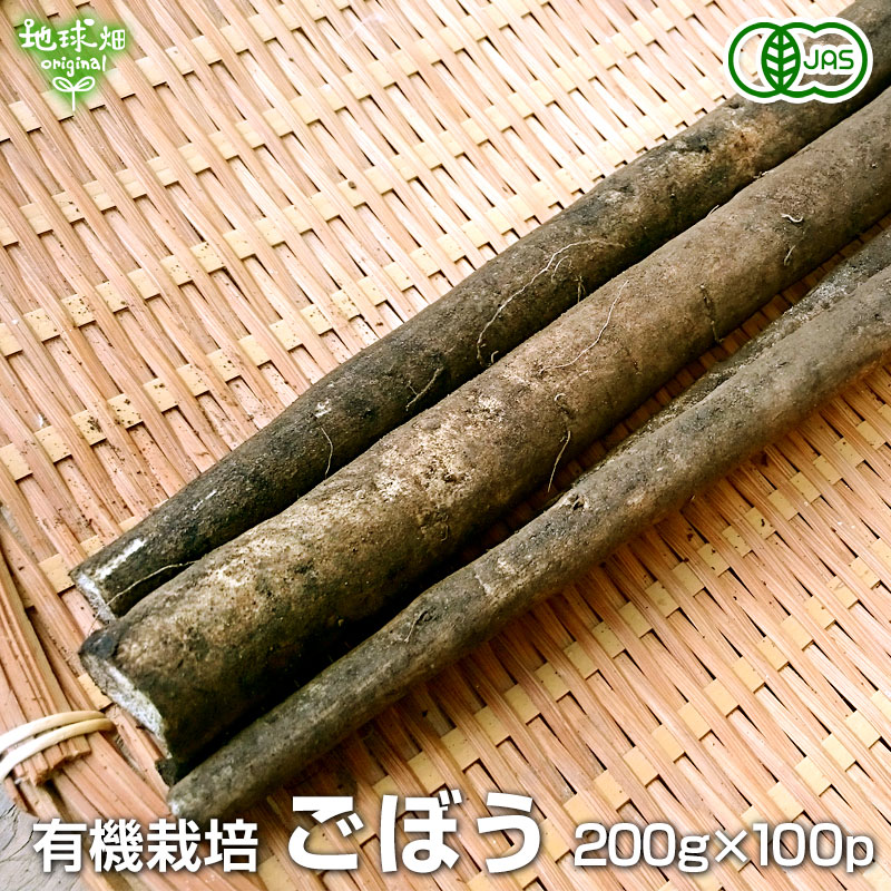 青森県産農薬栽培期間中不使用春掘りごぼう gobo-200g100p.jpg