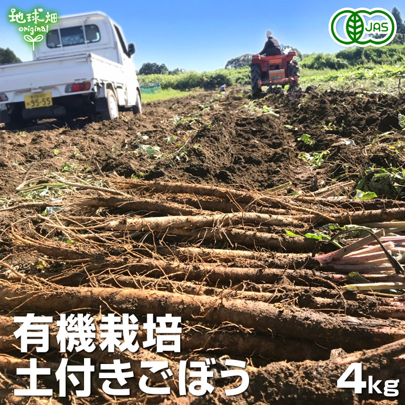 青森県産　超訳ありゴボウ 約1キロ 1kg ごぼう 訳あり 青森県産 - メルカリ