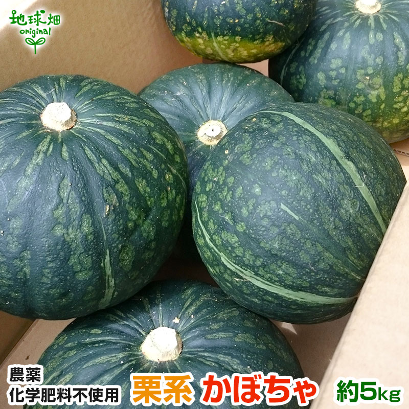 楽天市場】有機かぼちゃ 約5kg(2〜5玉) 鹿児島県産 宮崎県産 熊本県産