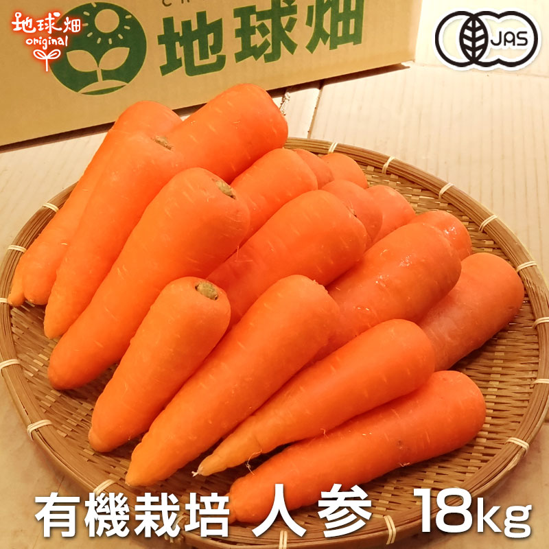 人参 18kg 有機栽培 冷蔵便 鹿児島県産 宮崎県産 有機JAS認証 洗い にんじん ニンジン organic 無農薬 化学肥料・農薬不使用  カロテン A品 秀品 人参ジュース用 発送期間11月下旬〜6月 | 地球畑