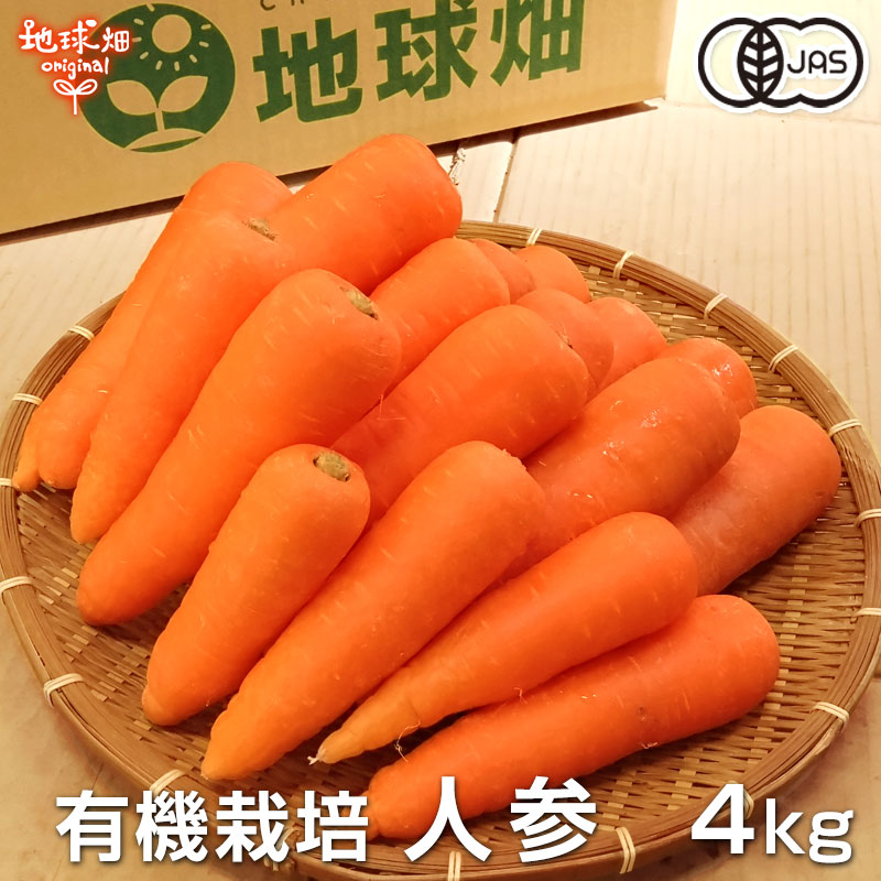 人参 4kg 有機栽培 冷蔵便 鹿児島県産 宮崎県産 有機JAS認証 洗い にんじん ニンジン organic 無農薬 化学肥料・農薬不使用  カロテン A品 秀品 人参ジュース用 発送期間11月下旬〜6月 地球畑