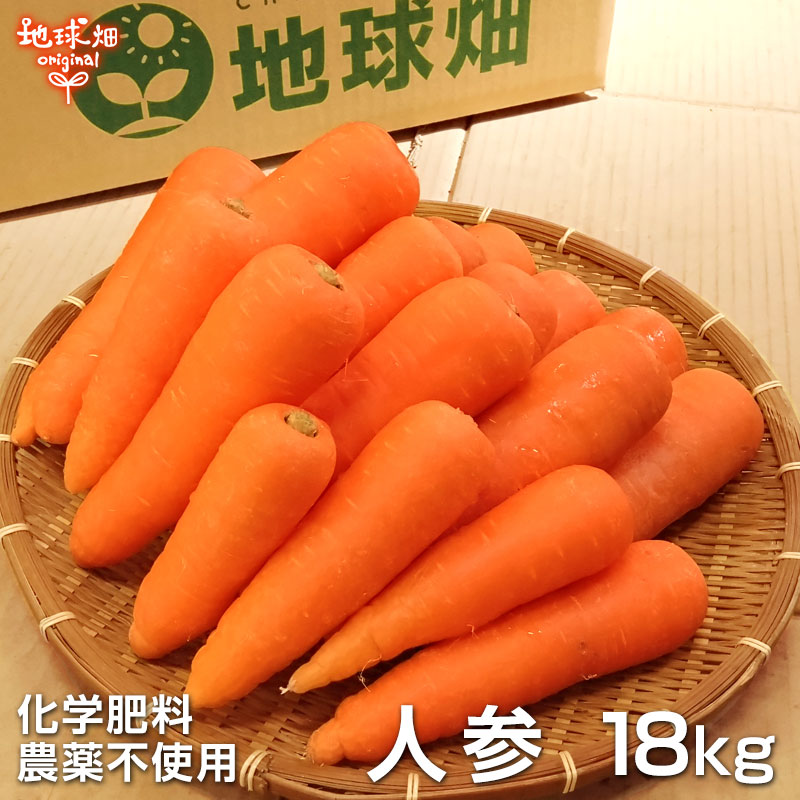 人参 18kg 冷蔵便 化学肥料・農薬不使用 鹿児島県産 宮崎県産 洗い にんじん ニンジン 人参ジュース用 発送期間2月～7月｜地球畑 8,400円