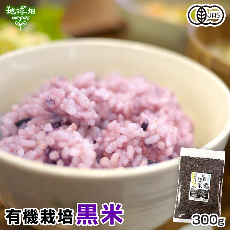 玄米】夢つくし 20キロ - 宮本ふぁーまーず｜福岡県産米夢つくし