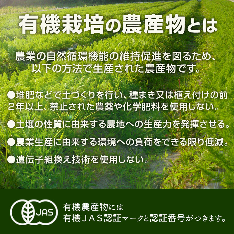 化学肥料 農薬を使用せず土作りからこだわり有機栽培で育てました クール便でお届けします ビーツ その他 その他野菜 有機栽培 18kg 冷蔵便 鹿児島県産 宮崎県産 テーブルビート ビートルート レッドビート 火焔菜 国産 サトウダイコン ベタシアニン オーガニック