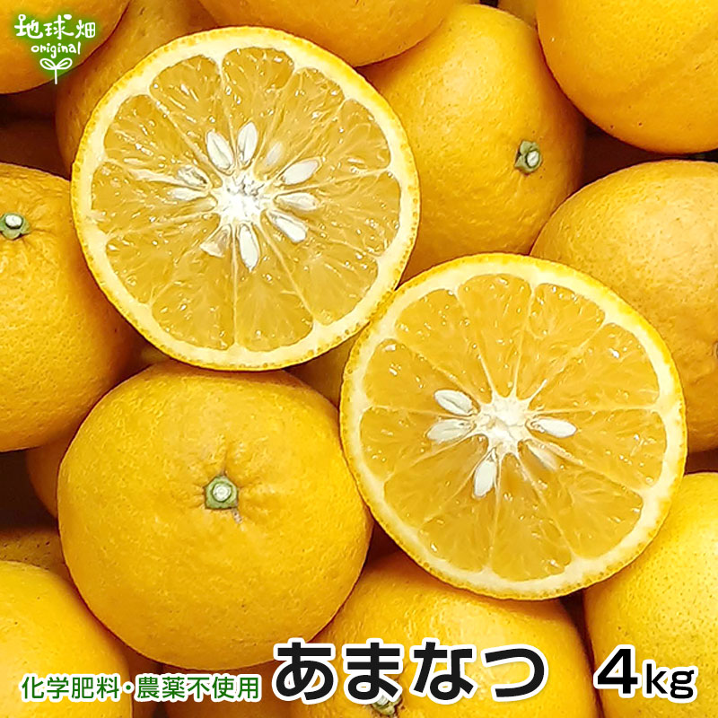 楽天市場】有機紅甘夏 4kg 化学肥料・農薬不使用 鹿児島県産 大きさ