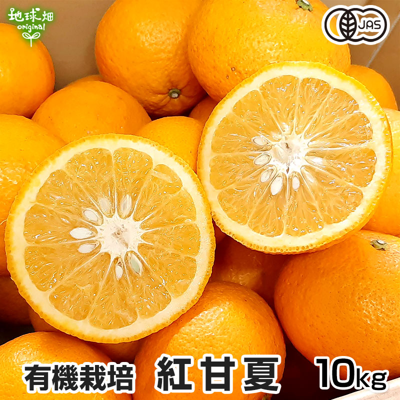 楽天市場】有機紅甘夏 10kg 肥料・農薬不使用 鹿児島県産 大きさ