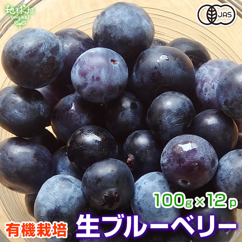 【楽天市場】生ブルーベリー 100g×12p 有機栽培 化学肥料・農薬不使用 鹿児島県産 計1.2kg ベリー 有機JAS 無農薬 冷蔵便