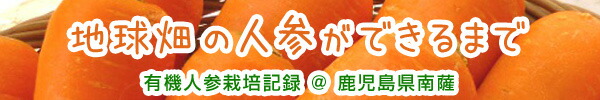 楽天市場】有機野菜スナック コロっぴ 3袋セット 有機野菜 無農薬 国産 有機JAS 無添加 お出かけ 防災 非常食 介護食 離乳食 おやつ お菓子  手づかみ お試し コロッピ ころっぴ : 地球畑