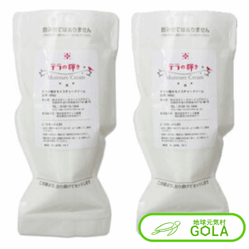 楽天市場】テラの輝き モイスチャークリーム 400g + ポンプ容器