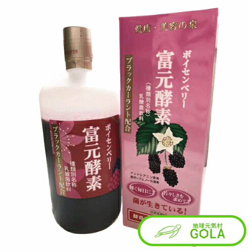 富元酵素ボイセンベリー・ブラックカーラント配合　健康食品　富元酵素　酵素　酵母　父の日　早割り