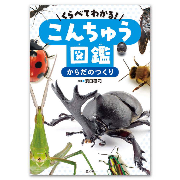 こんちゅうずかん はじめてのずかん こんちゅう | 高橋書店