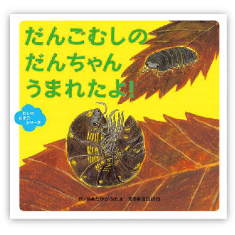 たまごむし Amazon | ビートルのたまご 全4種 かぶとむし くわがた 水に