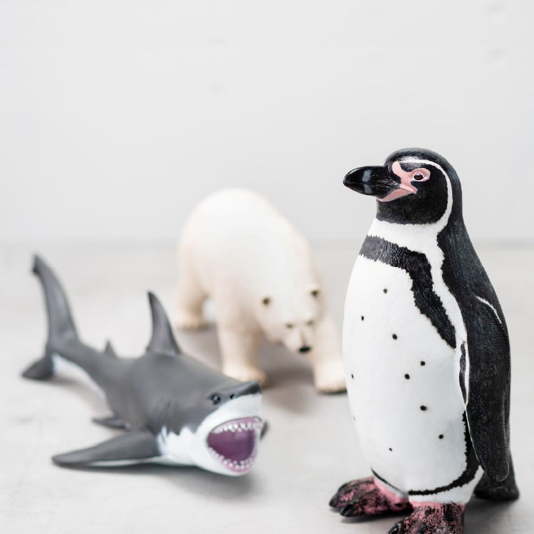 【フェバリット FAVORITE】ビニールモデル人気海洋生物５体セット（シャチ、バンドウイルカ、ホホジロザメ、ホッキョクグマ、フンボルトペンギン）