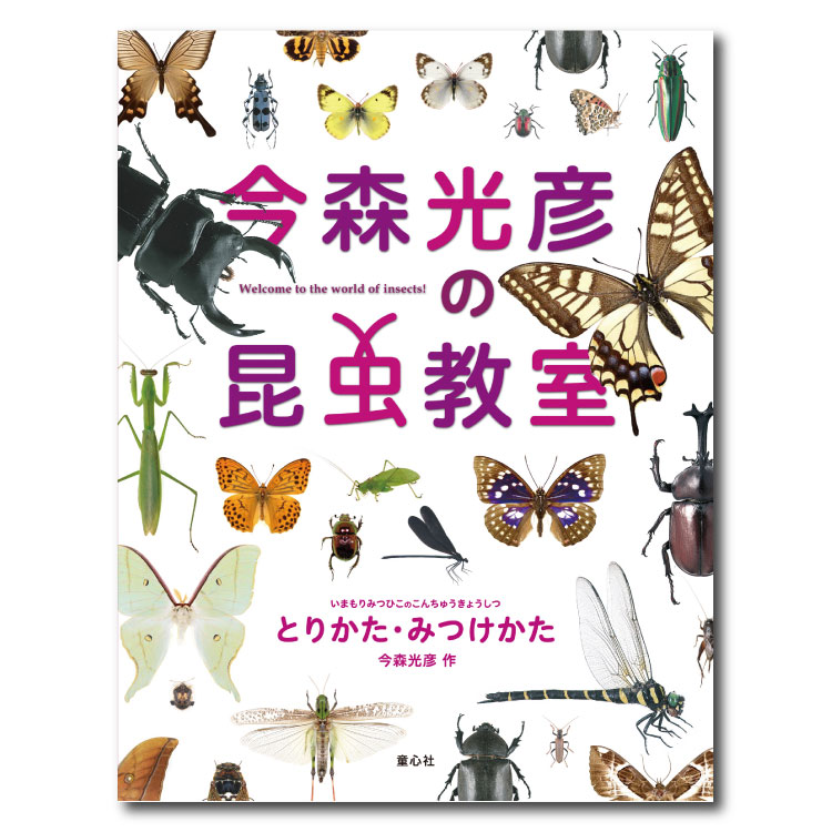 楽天市場 みつけた ちいさないきものずかん 既4冊 絵本 セット 4歳 5歳 向け 幼児向け絵本 幼児絵本 昆虫 虫 むし 生き物 図鑑絵本 図鑑 ずかん絵本 ずかん おすすめ 男の子 女の子 子供 子ども こども 国内絵本 日本の絵本 谷本雄治 児童書 書籍 虫のえほん 楽天市場 みつけた ちいさないきものずかん 既4冊 絵本 セット 4歳 5歳 向け 幼児向け絵本 幼児絵本 昆虫 虫 むし 生き物 図鑑絵本 図鑑 ずかん絵本 ずかん おすすめ 男の子 女の子 子供 子ども こども 国内絵本 日本の絵本 谷本雄治 児童書 書籍 虫のえほん