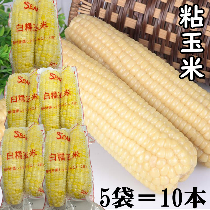 長野県産　もちもち東北糯 とうもろこし黏玉米10本約 5kg