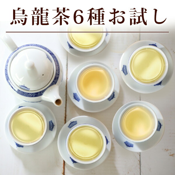 楽天市場】【龍井茶30g(5g×6p)】緑茶 ろんじんちゃ【世界はほしいモノにあふれている】【マツコの知らない世界】ロンジン 中国茶 西湖 茶葉 一級  プレミアム 浙江省産 煎茶 のような お茶 ネコポス便送料無料 : 中国茶専門店リムテー