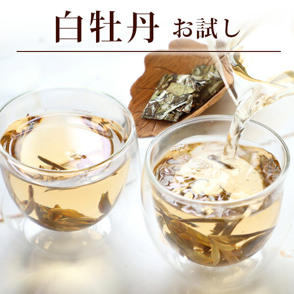 楽天市場】【龍井茶30g(5g×6p)】緑茶 ろんじんちゃ【世界はほしいモノにあふれている】【マツコの知らない世界】ロンジン 中国茶 西湖 茶葉 一級  プレミアム 浙江省産 煎茶 のような お茶 ネコポス便送料無料 : 中国茶専門店リムテー