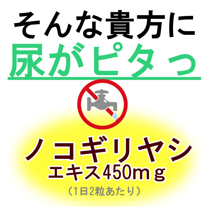 市場 ノコギリヤシ60粒 トイレの悩み ひんにょう 450ｍｇ サプリ ノコギリヤシエキス 髪 頻尿 30日分