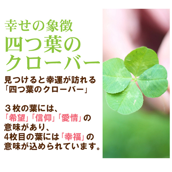 楽天市場 ハーバリウム 四つ葉のクローバー入り ラッキーハーバリウム 送料無料 ハーバリュウム 花 誕生日 バースデー 挨拶 プチギフト お見舞い 送別 自分用 自宅用 プリザーブドフラワー 彩香 お茶 ハーブ 花材 ギフト