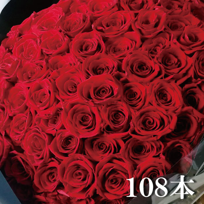 プリザーブドフラワー さくら色 胸花 108本 真っ赤薔薇 選べる本数 言い入れる 祝する日 華燭の典 差し上げ物 生まれ落ちる日 差し上げ物 御前上等 薔薇束 貨物輸送無料