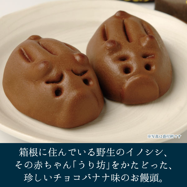 baby wild boar chocolate banana manju, boar manju, japanese boar manju, hakone no uribo manju, hakone no uribo, japanese manju, best luxury japanese desserts, luxury Japanese desserts, best Japanese snacks, exotic japanese snacks, hard to find japanese snacks, hard to find japanese snacks online, exotic japanese snacks online, exotic japanese snacks worldwide