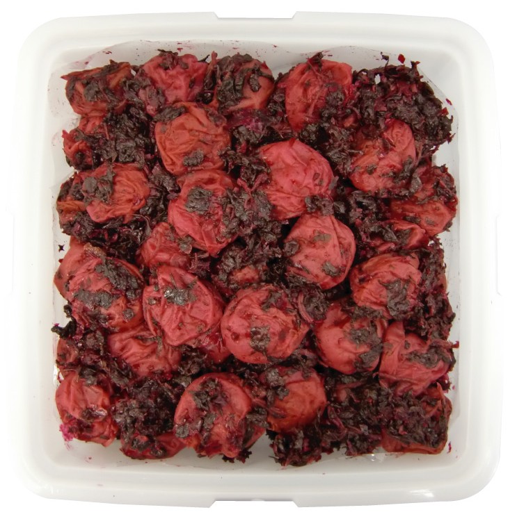梅八珍 １ｋｇ　（角ポリ容器）｜ちん里う本店（ちんりう）