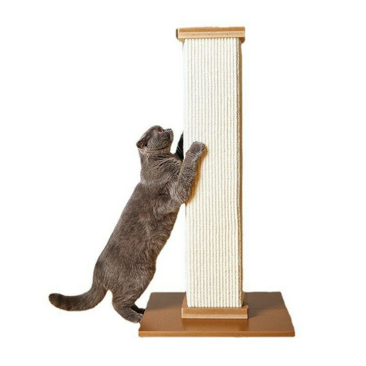 牢固たる耐久 突っ張り 運動すること機能不全取り止める 極点 爪研ぎ 猫 お取りつくろう飾り気の無い 猫 爪とぎ 大型 据え付け 木製 キャットタワー 麻