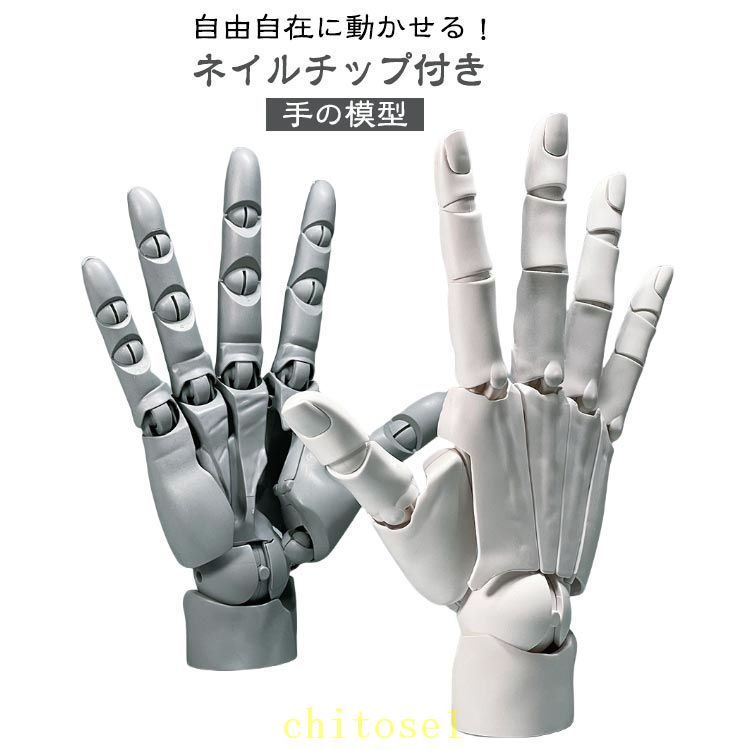 期間限定5%クーポン 曲げられるスタンド付き ハンドモデル ネイルチップ付き 1/1 左手 右手 R L 可動式 バイオニック指関節 アニメ デッサン用素体美術 フィギュア ホワイト グレー スキンカラー モデル ハンド 模型 chitose1