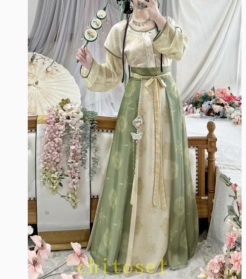 春夏日常セットチャイナドレス 大人用中国風唐装漢服 エレガント復古風コスプレ衣装 写真撮影用ドレスレディース 古代/中華服 演出服 漢服仙気超仙ひらひら豪華 チャイナ服 漢服ドレス 漢唐古代服 中国時代劇コスチューム 女性古典舞踊唐はいす丸首グリーンピンクパープル