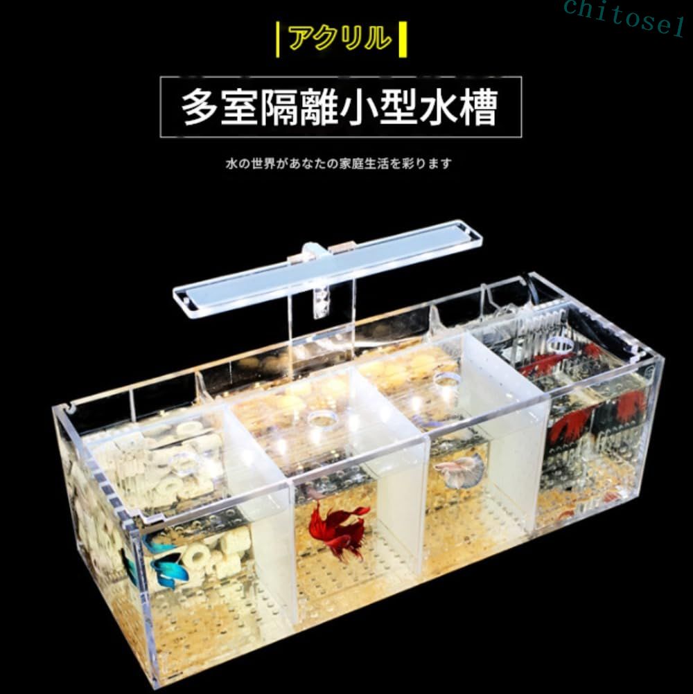 継続期間押さえる5%引き換え証 お水揚水機LEDともし火 アクリル樹脂原料品 ミニデスクトップベタ海洋博物館仕かける 自分自身循環過程環境学貯蔵タンク 病み煩いの魚の隔てる室付き添い人 4グリッド chitose1 多役立つこと 軽さ 大収容能力 省空白文字 身寄り用 通い通学 室内装飾 納める助けになる