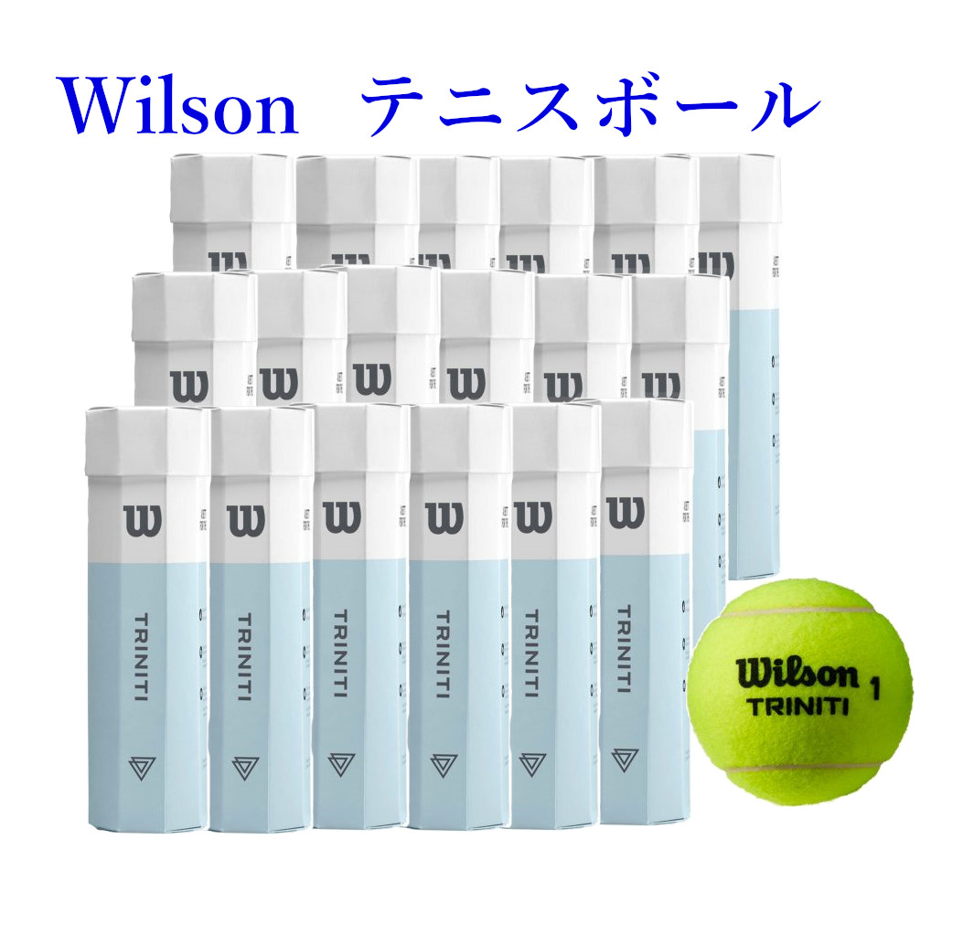 64%OFF!】 Wilson ウイルソン プレッシャーライズド ボール US Open