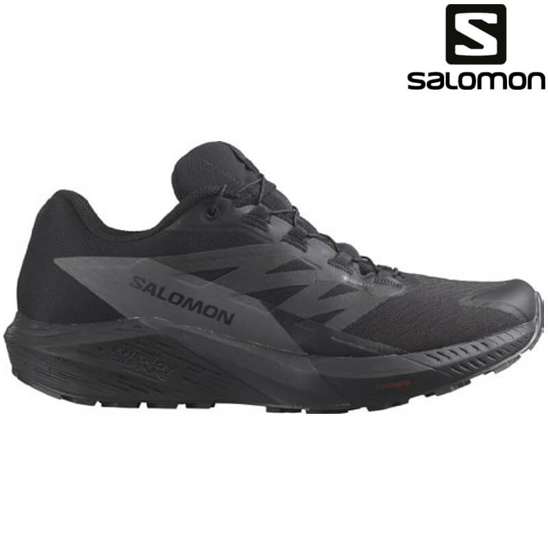 ゴッドOD / Back To The Solomon サイケアウツ関連 XA PRO 3D V9 GORE-TEX （メンズ） / L47270100 Black/Phantom