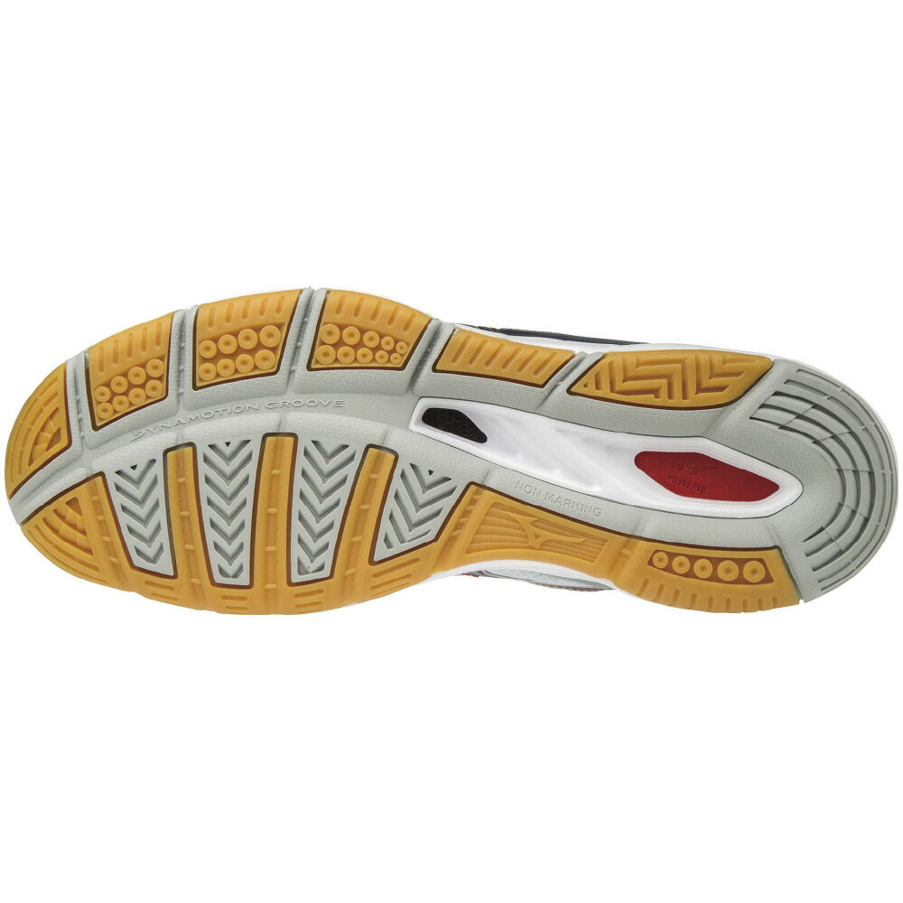 mizuno chile