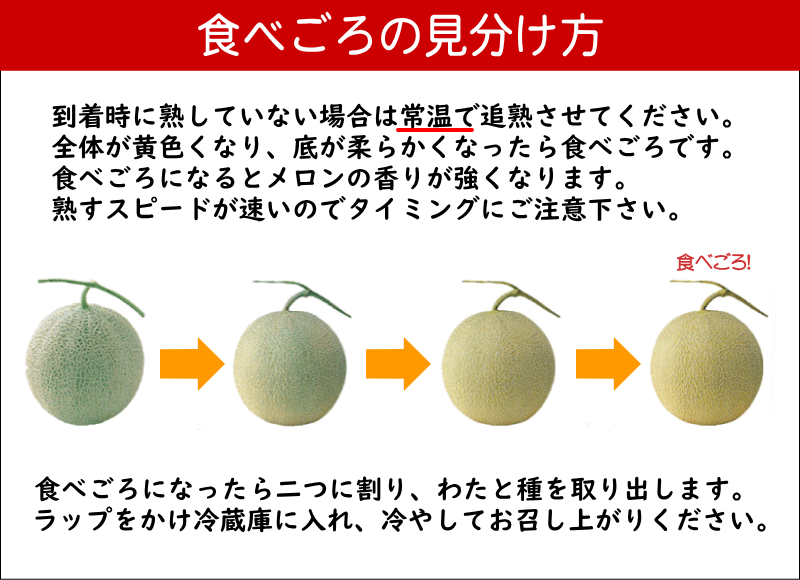 夕張メロン 訳あり 共撰 白箱 良品以上 8kg 4玉 7玉 赤肉メロン 北海道 夕張産 ご予約商品 6月上旬 7月上旬発送予定 送料無料 Tbset Com