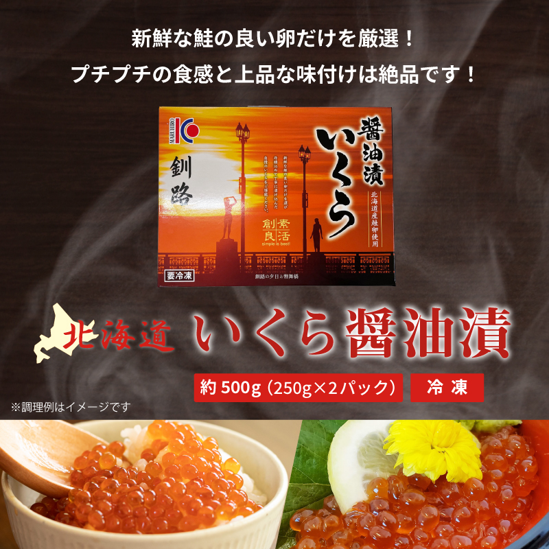 84％以上節約 北海道産 鮭 いくら醤油漬け 500g 250g×2パック イクラ さけ サケ 送料無料 fucoa.cl