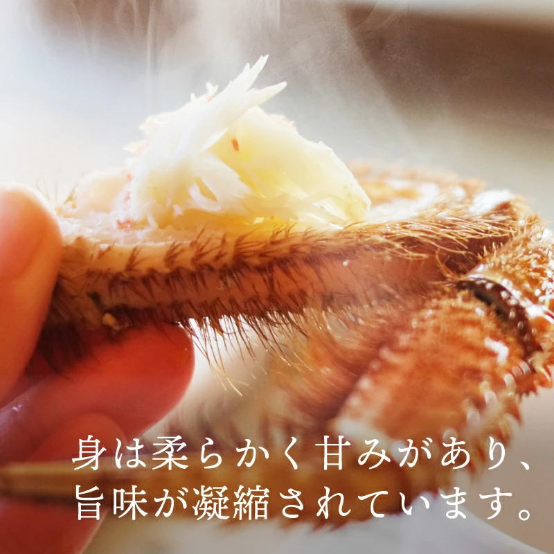 2244円 情熱セール 毛ガニ 北海道産 約450g×2尾入り ボイル済 送料無料 カニ かに 蟹 2244円 情熱セール 毛ガニ 北海道産 約450g×2尾入り ボイル済 送料無料 カニ かに 蟹