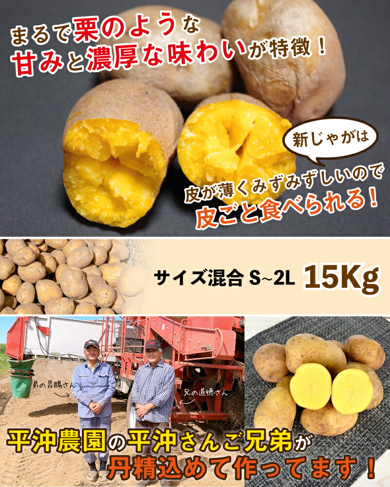 国内発送】 インカのめざめ 新じゃが 15kg S〜2Lサイズ混合 北海道 千歳産 ご予約販売 9月下旬以降発送予定 じゃがいも ジャガイモ 送料無料  訳あり arabxxnxx.com