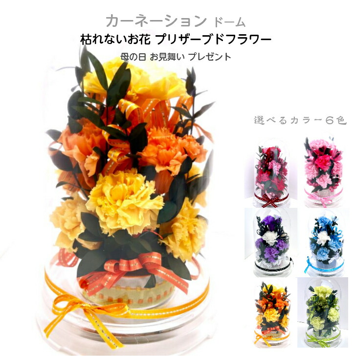 母の日 Mother's Day 誕生日 御見舞 御供 記念日 傘寿祝い 米寿祝い 母の日ギフト yellow ＆ Oranje Carnation イエロー＆オレンジカーネーション 選べる6カラー 枯れないお花 プリザーブドフラワー ドームケース入り
