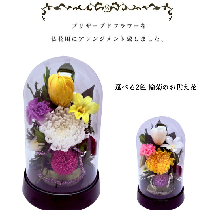 開花白輪菊 カラフルなデザインドームお供え 選べる２色のカラー プリザーブドフラワー 仏花 お供え お悔やみ 供花 仏壇 枯れない 花 喪中見舞い 一周忌 四十九日 お悔やみ 仏壇 仏花 お盆 新盆 初盆 お彼岸 正月 法事 ペット