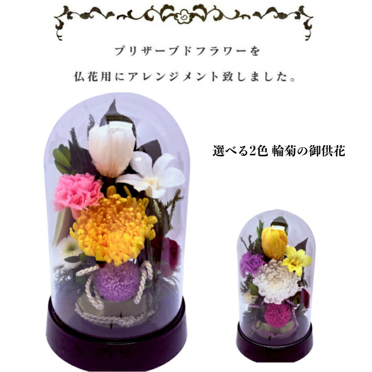 開花黄色輪菊 カラフルなデザインドームお供え 選べる２色のカラー プリザーブドフラワー 仏花 お供え お悔やみ 供花 仏壇 枯れない 花 喪中見舞い 一周忌 四十九日 お悔やみ 仏壇 仏花 お盆 新盆 初盆 お彼岸 正月 法事 ペット 6,720円