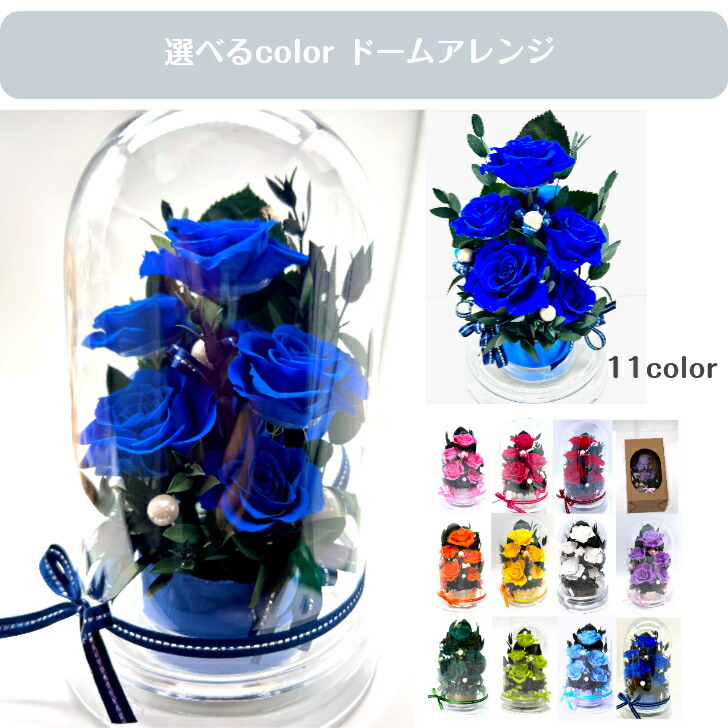 薔薇 ローズ 彼への差し上げ物 生まれ落ちる日 祝する日 取り立て祝賀会 自主独往祝賀会 開業祝賀会 御花差し上げ物 御祝  夢叶う 不思議なこと 乳くさいローズ Royal blue 紺 米国海軍 ロイヤル青碧 学生寄宿舎 容れもの入り口・入口