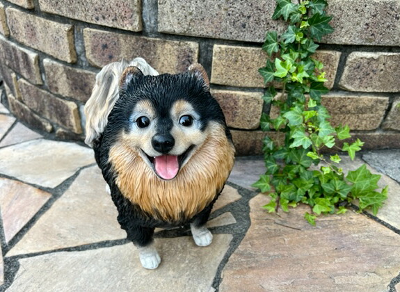 楽天市場】犬の置物 ポメラニアン 黒 N15321 いぬ イヌ 動物