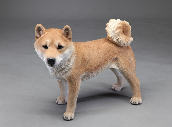 置物 犬 柴犬 玄関用 本物そっくり 置物 犬 柴犬 玄関用 本物そっくり 実物大 リアル ドッグ
