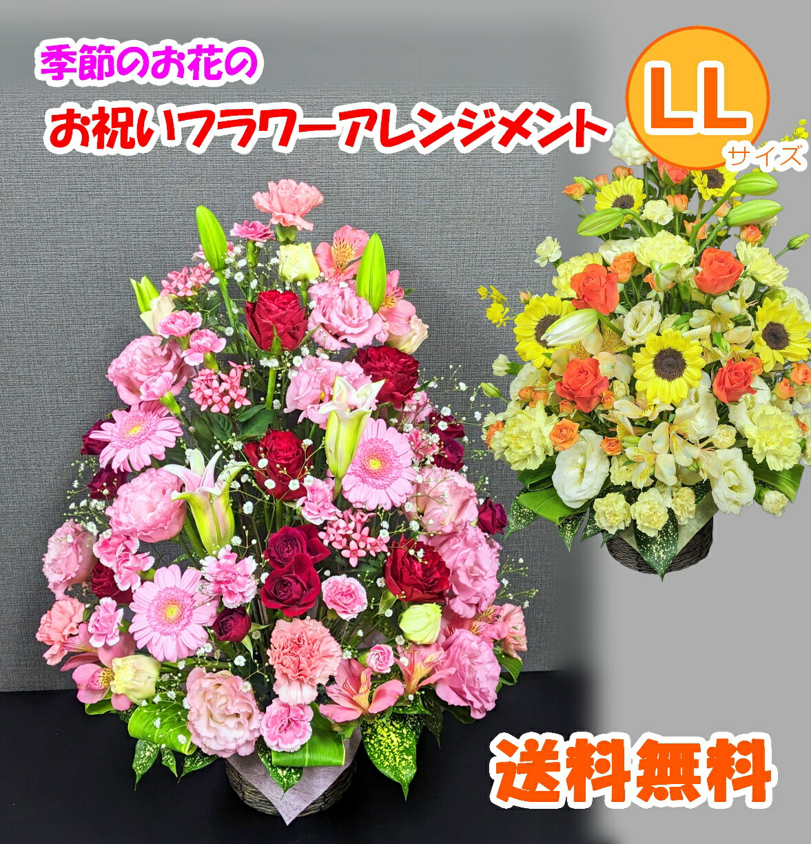 【日時指定可】季節のお花 おまかせ お祝い アレンジメント LLサイズ 生花 立札 メッセージカード 即日発送 画像配信 日時指定 送料無料 母の日 誕生日 開店祝 周年 結婚 入学 卒業 退職 送別