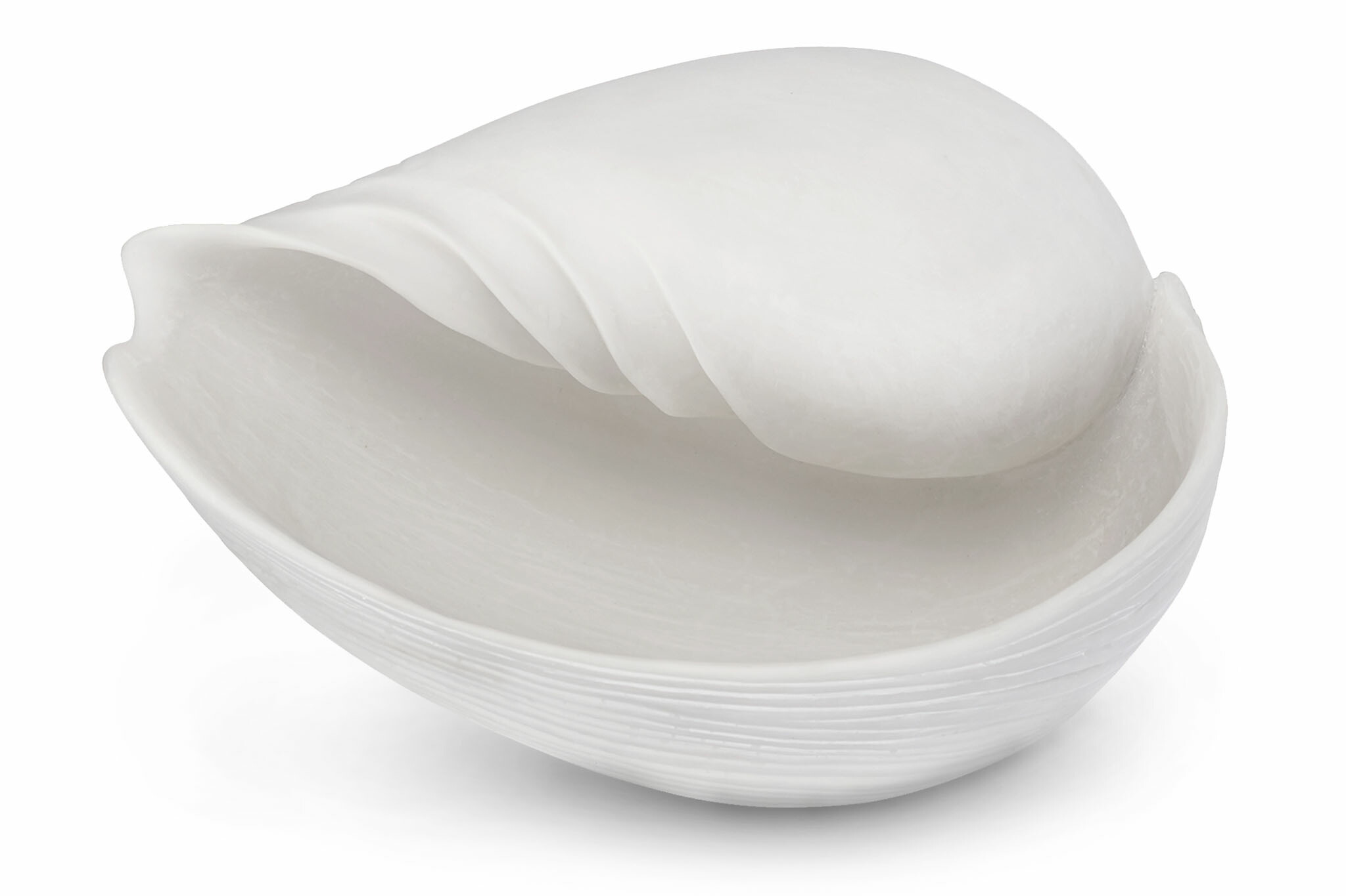 Mette Ditmer 美しいシェルモチーフのオブジェ CONCH 高さ30cm 置き物 貝殻 デコレーション 西海岸 ヨーロッパ 北欧インテリア 北欧雑貨 デンマークブランド ミニマルデザイン シンプルモダン おしゃれ ナチュラル｜CHLOROS　（クロロス）