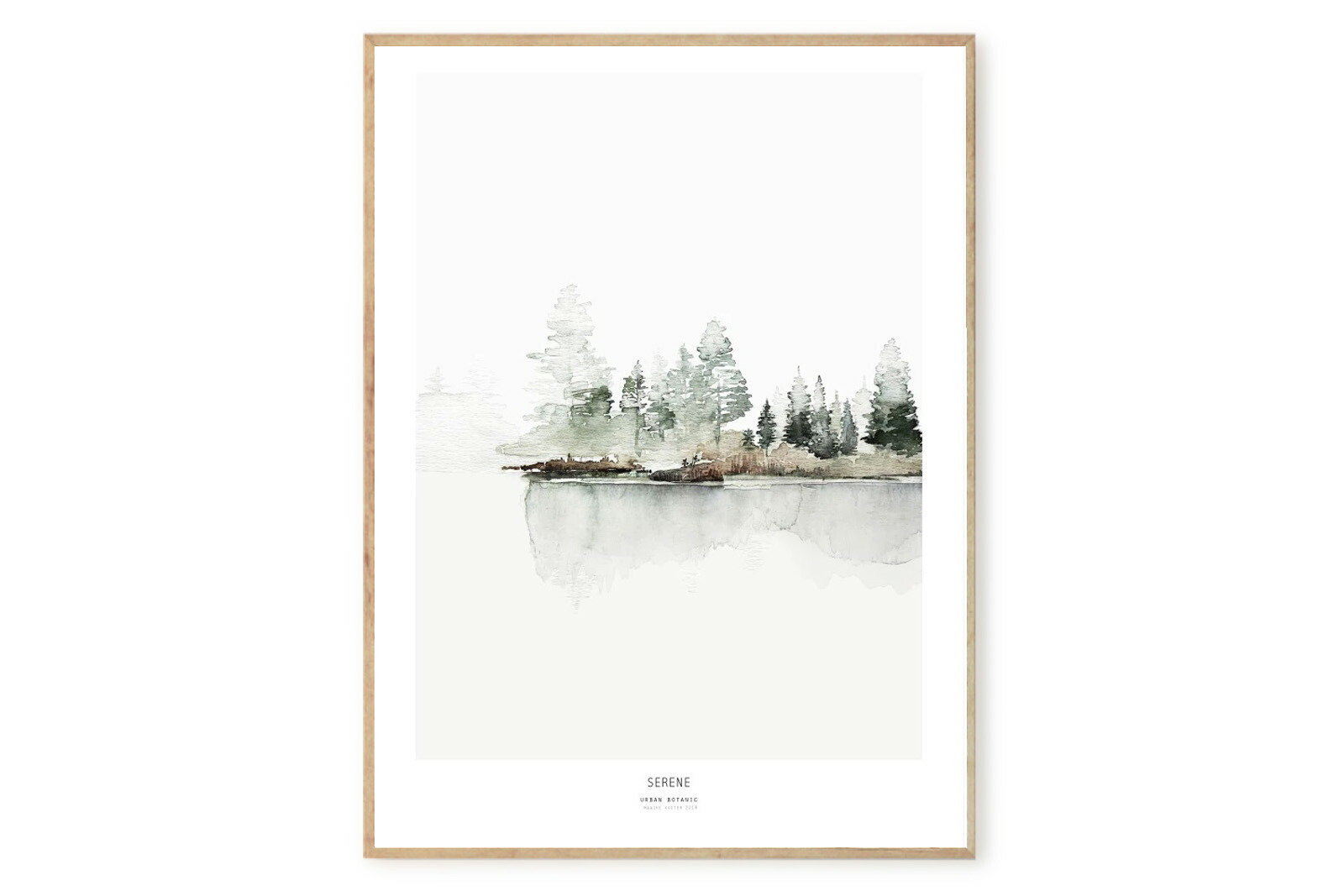 MY DEER ART SHOP　ポスター/アートプリント　50×70cm　Botanics / Serene　(Limited edition #250)【北欧雑貨 子供部屋 キッズ オランダ イラスト インテリア おしゃれ 壁掛け 絵画 パネル モダン モノクロ モノトーン】