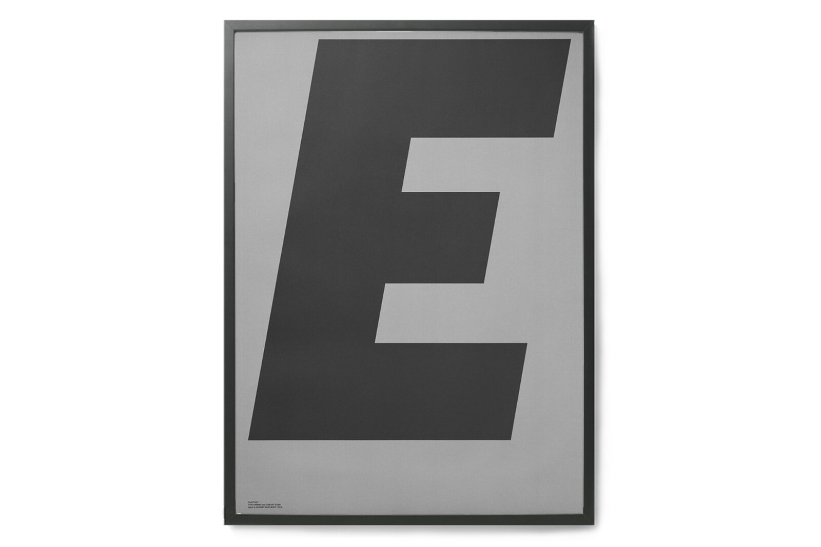 PLAYTYPE ポスター 67x005g-50x70.jpg