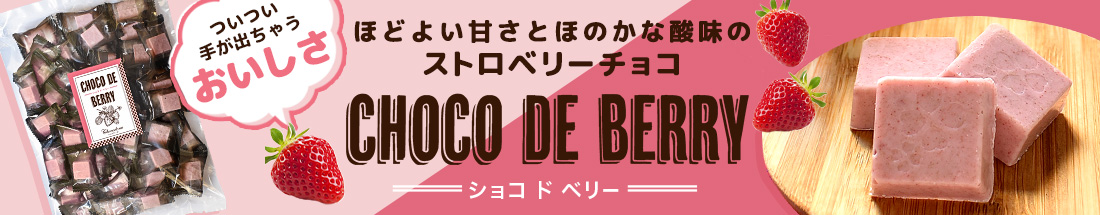 楽天市場】【チョコレート フルーツ・オ・ショコラ オレンジ ドライフルーツ チョコがけ 500g（250g×2袋）】 カカオ70% ハイカカオ  エンローバーチョコレート 送料無料 : ショコドーネ