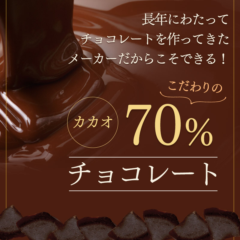 【チョコレートフルーツ・オ・ショコラオレンジ250gレモン220g2種セットドライフルーツチョコがけ】カカオ70%ハイカカオエンローバーチョコレート送料無料